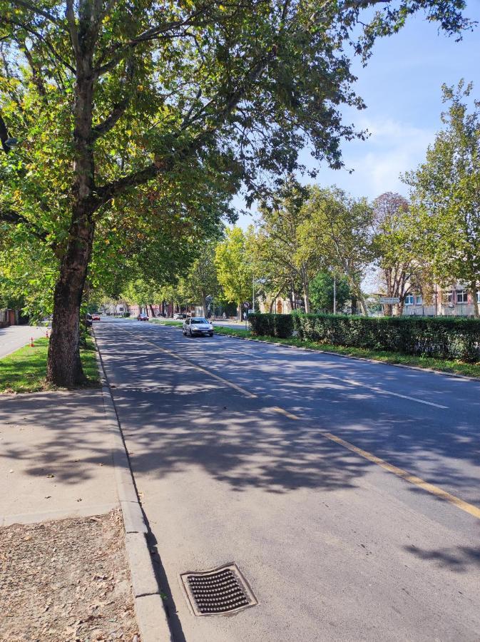 Apartment Alacaster With Private Parking Novi Sad